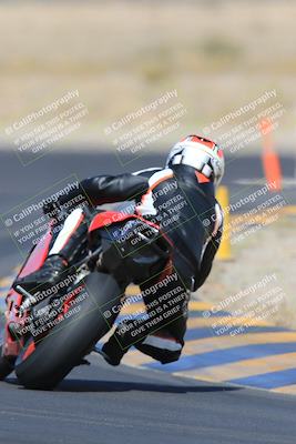 media/May-13-2023-SoCal Trackdays (Sat) [[8a473a8fd1]]/Turn 11 Backside (945am)/